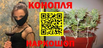 крисы Моздок