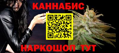 крисы Моздок