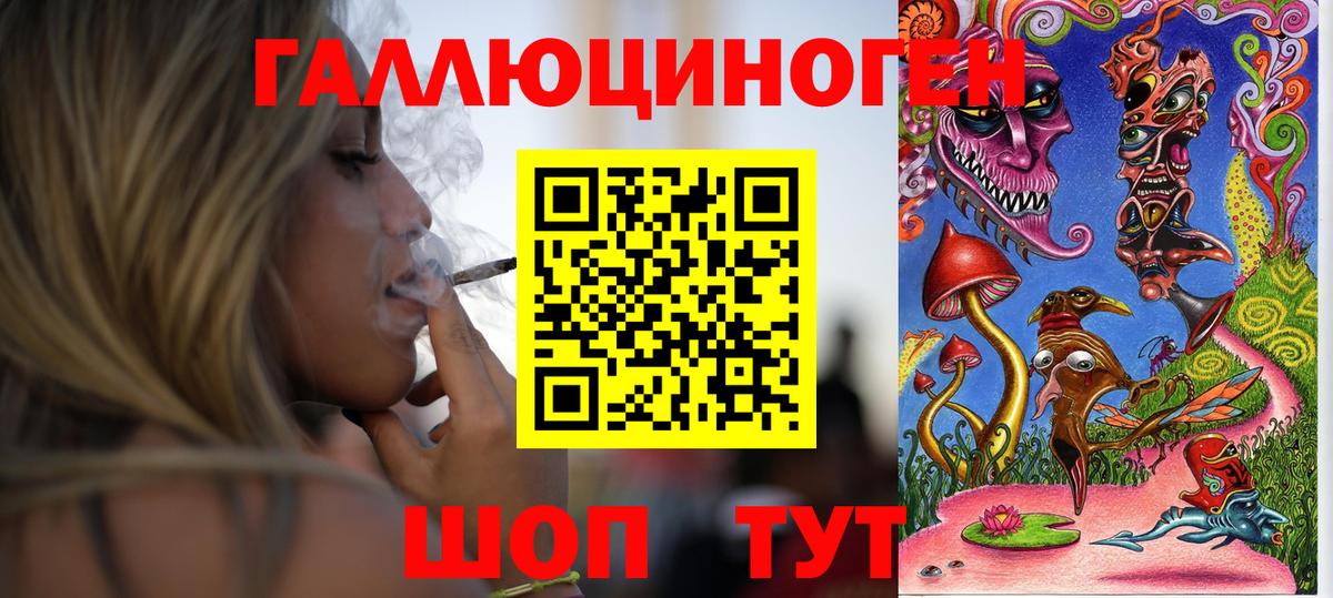 купить  цена  Вход с VPN  Саров  Галлюциногенные грибы мухоморы  Псилоцибиновые грибы Psilocybe 