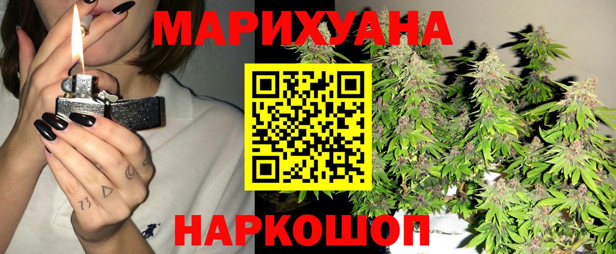 Конопля планчик Саров